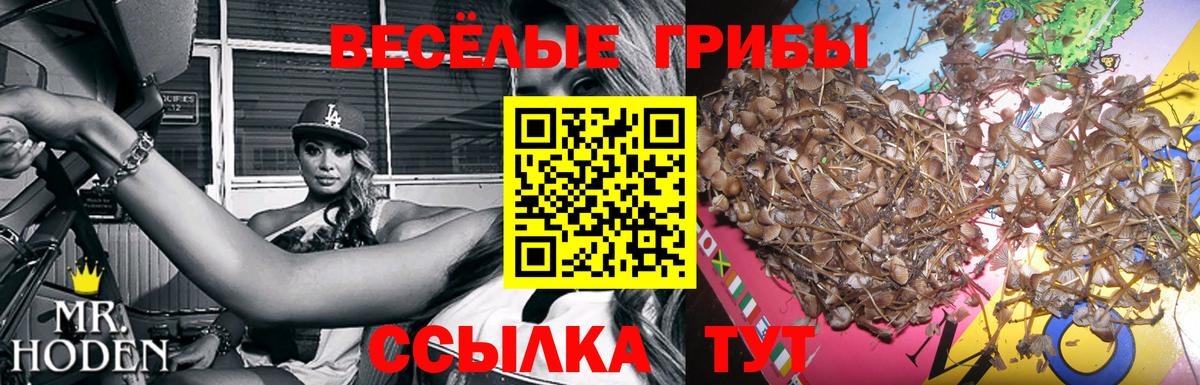 Дюртюли  Псилоцибиновые грибы GOLDEN TEACHER  Вход с VPN 